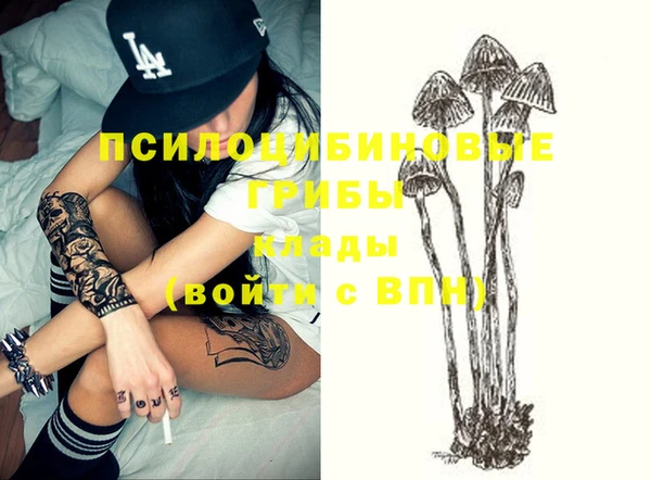 амф Алексеевка